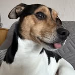 Geoff Weeks - Facebook