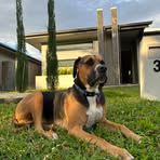 Geoff Weeks - Facebook