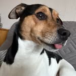 Geoff Weeks - @geoff_1956 - Instagram