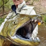 Geoff Woods - @geoffonthefly - Instagram