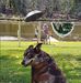 Geoffrey Bates - Facebook