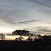 Jeffrey Baxter - @jeffreybaxter4598 - TikTok