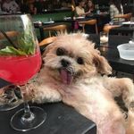 Geoffrey Boyd - @geoffrey.boyd.980 - Instagram