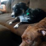 Geoffrey Brockman - @geoffreybrockman - Instagram