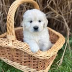Jeffrey Broas - Facebook