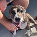 Jeffrey Byrd - Facebook
