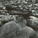 Geoffrey Chapman - @geoffrey.chapman.338 - Instagram