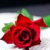 Geoffrey Daniel - Facebook