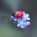 Geoffrey Fox - @geoffrey_fox - Instagram