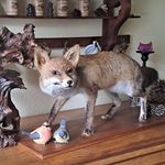 Geoffrey Fox - @paixtrus - Instagram