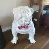 Geoff Freeman - @geoff.freeman - TikTok