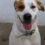 Geoffrey Adam Freeman - @geoffrey.freeman13 - Instagram