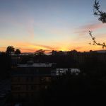 Geoffrey Freeman - @pinkpurpleblueman - Instagram