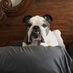 Geoffrey Hoffman - @geoffrey_a_hoffman - Instagram