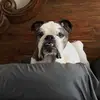 Geoffrey Hoffman - @geoffrey.hoffman - TikTok