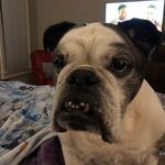 Geoffrey Hoffman - @geoffrey.hoffman - Instagram