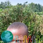 Geoffrey Isaac - @nyangaresgeoffrey - Instagram