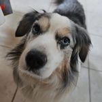 Geoffrey Lamret - @geoffreylamret - Instagram