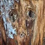 Geoffrey Lepine - @geoffrey.lepine - Instagram