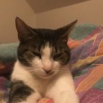 Geoffrey MACK - @frag_trop_de_meca - Instagram