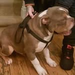 Jeffrey Mccarthy - @jeffrey.mccarthy.397 - Instagram