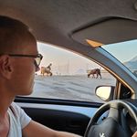 Geoffrey Petit - @geoffrey_gffr - Instagram