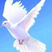 Jeffrey Silver - Facebook