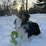 Geoffrey Smart - @g.smart10 - Instagram