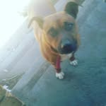 geoffreysmart - @geoffreysmart - Instagram