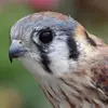 Jeffrey Solomon - @jeffrey.solomon25 - TikTok