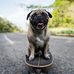 Geoffrey Walter - Facebook
