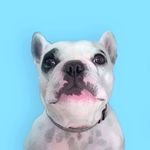 Walter Geoffrey Fan Account!!! - @waltergeoffreyisagod - Instagram