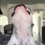 Walter Geoffrey Fan Account - @waltergeoffreyfan - Instagram