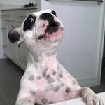 Walter Geoffrey Fan Page - @waltergeoffreyfanpage - Instagram