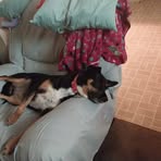 Jeffrey Weeks - Facebook