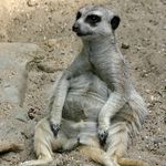 Geoffrey Wicks - @geoffrey.wicks - Instagram