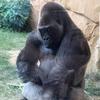 Georg_Mueller - @georg_mueller - TikTok