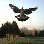Georg Schmidt - @georg.schmidt - Instagram