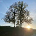 Georg Schmidt - @harthof_79_ - Instagram