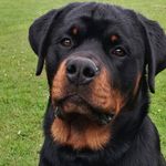Georg Schmidt - @georg.schmidt.566 - Instagram