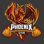 Phoenix Gym - @george.achim.180410 - Instagram