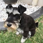George Kianidoon Acker - @george_kianidoon_acker - Instagram