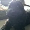 GeorgeAcker - @georgeacker - TikTok