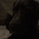 George Aiken - @geoaiken - Instagram