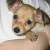 George Ang - Facebook