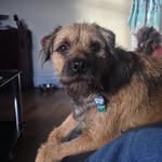 George Angus - @angus.george - Instagram