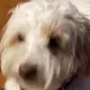 georgeanniscool - @georgeanniscool - TikTok