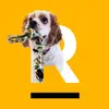 George Antonio - @raddesignintern - TikTok