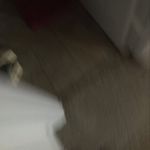 George Appleby - @bubblegum_getter - Instagram