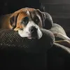George Applegate - @george.applegate6 - TikTok